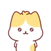 Cute Kitten 🐱 6