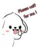 Lovely White Dog 3 .MOV 7