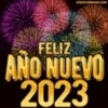 Feliz año Nuevo Mov ️ 16