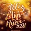 Feliz año Nuevo Mov ️ 18