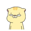 Pet Series : Nino .MOV 7