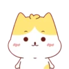 Cute Kitten 🐱 7