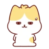 Cute Kitten 🐱 8