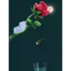 Flores magicas demovimiento #1 9