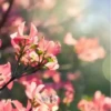 Flores bonitas 1 15