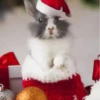 Conejitos Navideños 1 13