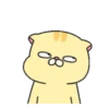 Pet Series : Nino .MOV 10