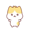 Cute Kitten 🐱 9