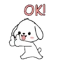 Lovely White Dog .MOV 9