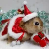 Conejitos Navideños 1 14