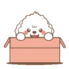 Белый щенок 11