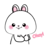 Vanilla Rabbit MOV. 12