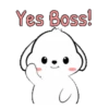 Lovely White Dog 3 .MOV 14