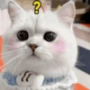 Ramdon cute ️ 12