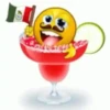 Viva México 2 Movi 22