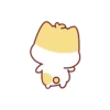Cute Kitten 🐱 12