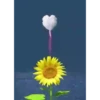 Flores magicas demovimiento #1 11