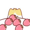 Cute Kitten 🐱 13