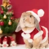 Conejitos Navideños 1 16
