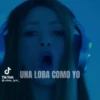 Shakira Bzrp 19