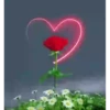 Flores magicas demovimiento #1 13
