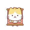 Cute Kitten 🐱 14