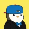 Pingutwo 20