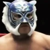 Luchadores 1 Movi 17