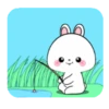 Vanilla Rabbit 5 .MOV 10