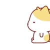 Cute Kitten 🐱 15