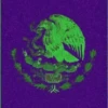 Viva México 2 Movi 25