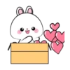 Vanilla Rabbit MOV. 16