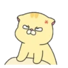 Pet Series : Nino .MOV 17