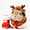 Conejitos Navideños 1 19