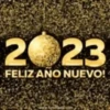 Feliz año Nuevo Mov ️ 21