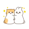 Cat baby lovely 15