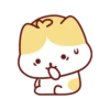 Cute Kitten 🐱 16