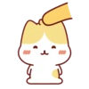 Cute Kitten 🐱 17