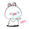 Vanilla rabbit 1 MOV 16