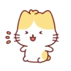Cute Kitten 🐱 18