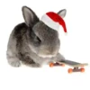 Conejitos Navideños 1 21