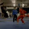 Cobra KAI mov 22