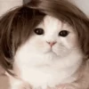 Ramdon cute ️ 21