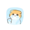 Cat baby lovely 17