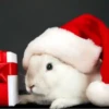Conejitos Navideños 1 24