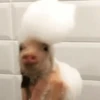 Ramdon cute ️ 22