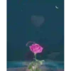 Flores magicas demovimiento #1 18