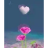 Flores magicas demovimiento #1 19