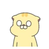 Pet Series : Nino .MOV 22