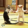 michis .mov 26